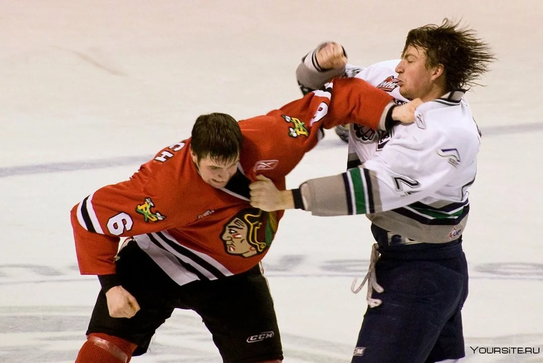 /why-are-player-to-player-fights-so-common-at-hockey-games
